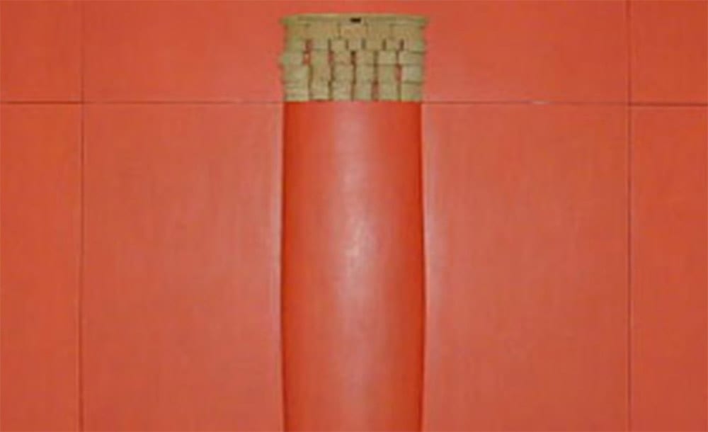Colonne sur un fond de corail, Horia Damian, 1992